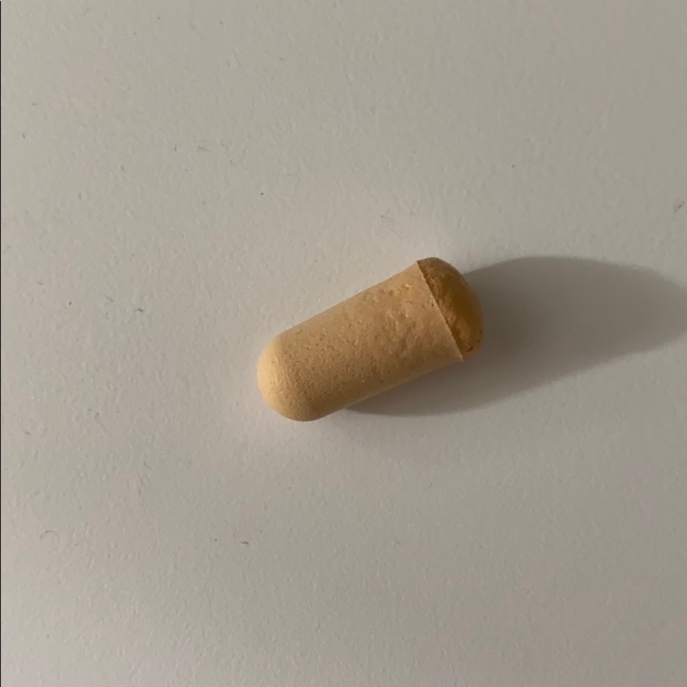 ear plug